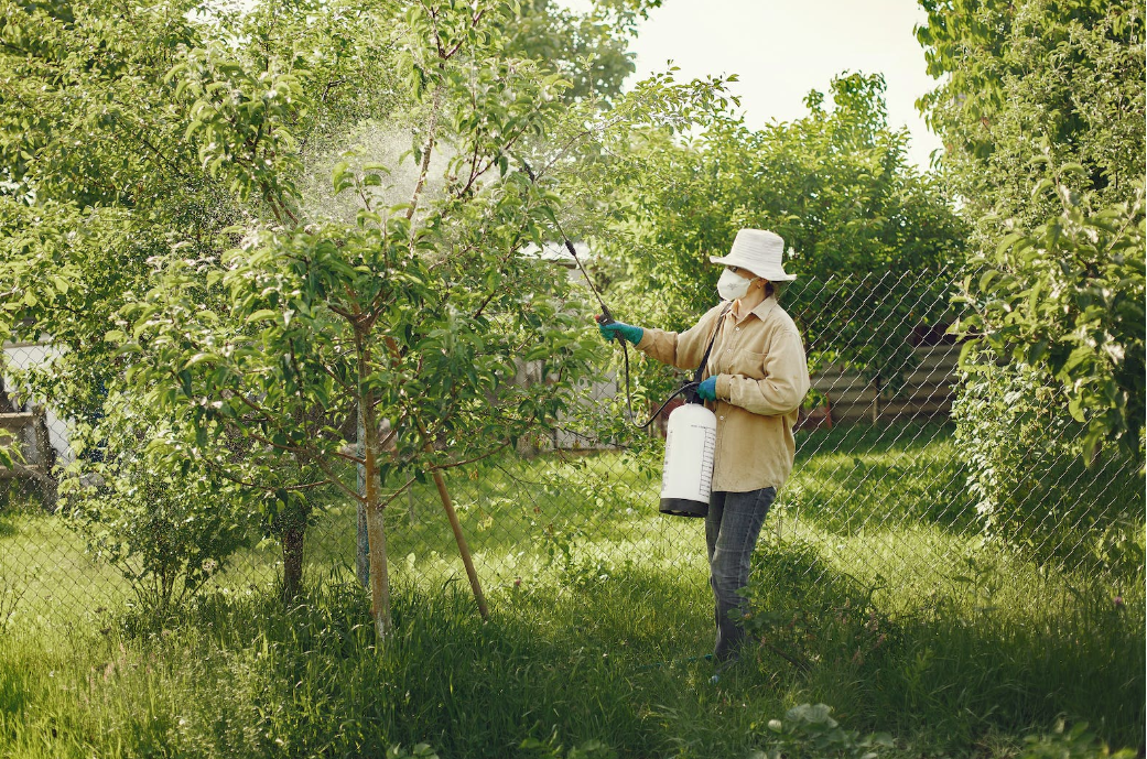 Healthy Home Pest Control