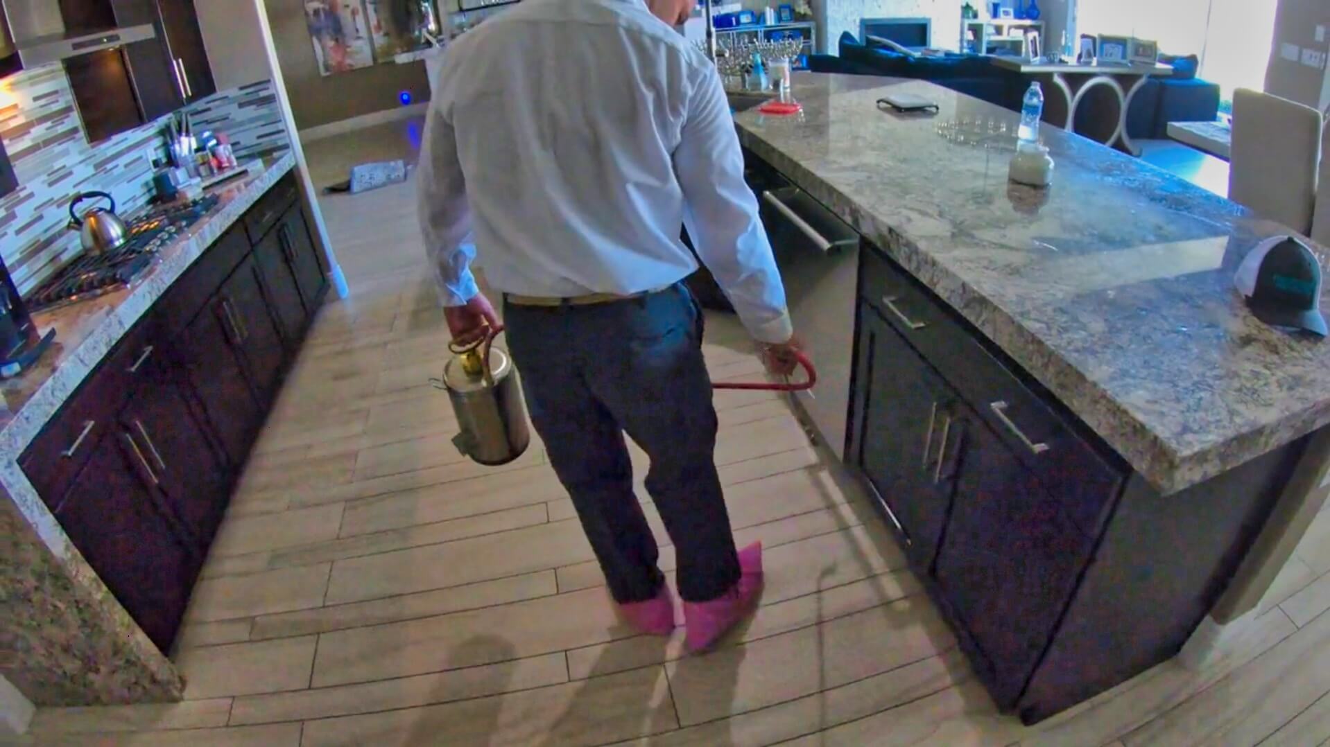 Progressive Pest Control Las Vegas American Pest Control