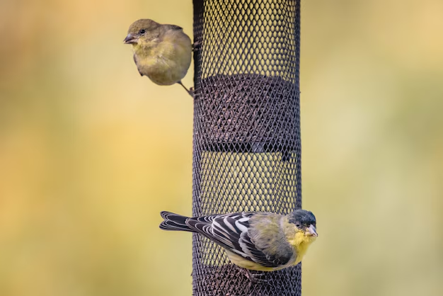 Pigeon netting